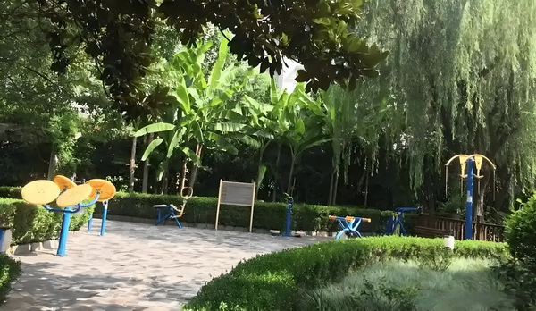 无学历申请深户_要出道了吗？！霍汶希女儿hanni杂志封面首秀 险在曝光的一高调个风于